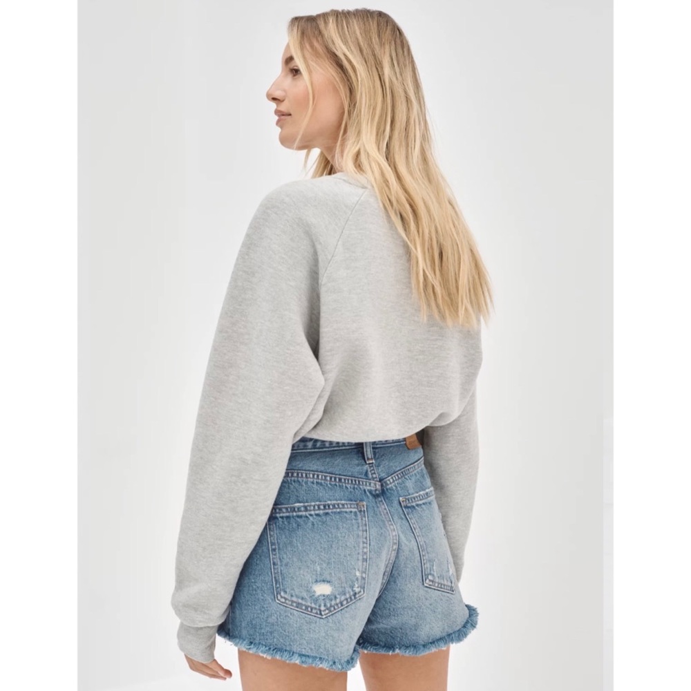 Aritzia Denim Ex-Boyfriend Shorts - Picture 5 of 14